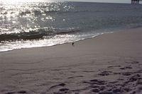 Gulf of Mexico at Desten Florida