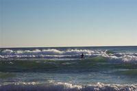 Gulf of Mexico + Surfer
