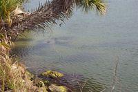 Atlantic Ocean at St. Augustine