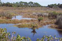 St. Augustine - nature trail 