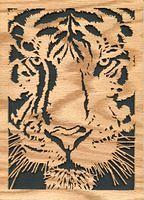 Tiger Face Scroll Art; Pattern from [url=http://www.scrollerltd.com/]Scroller Ltd.[/url]